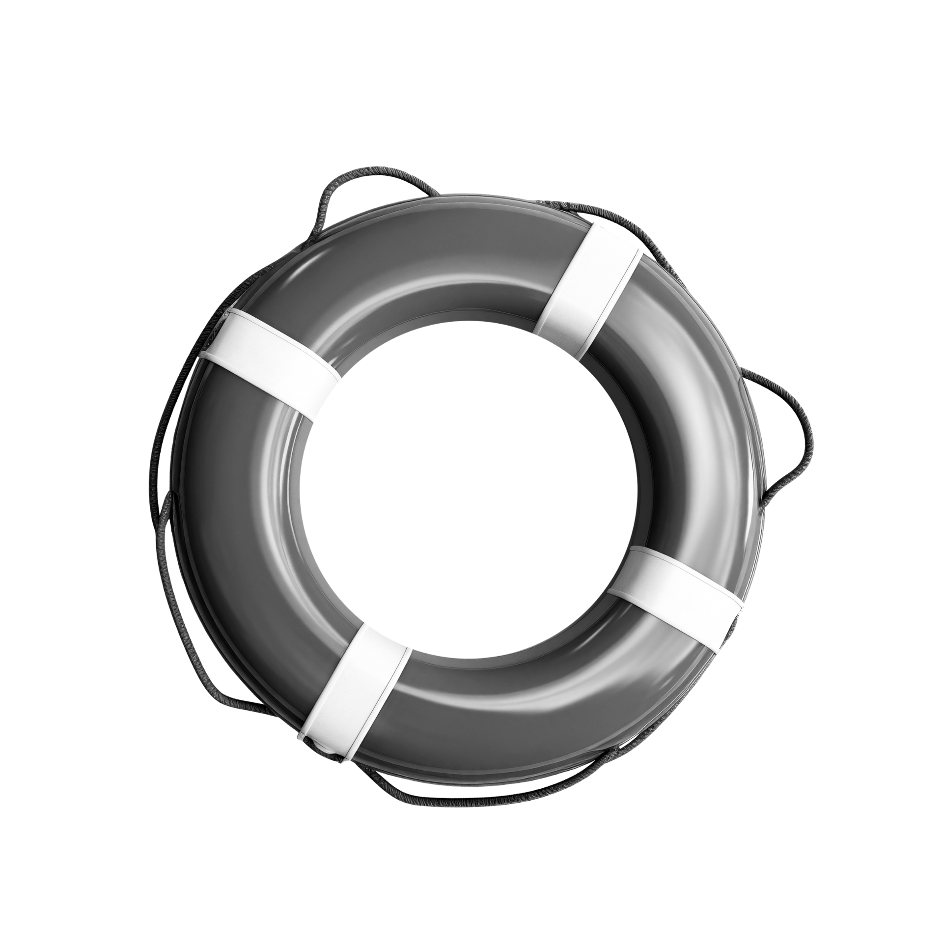 lifebuoy-2.png